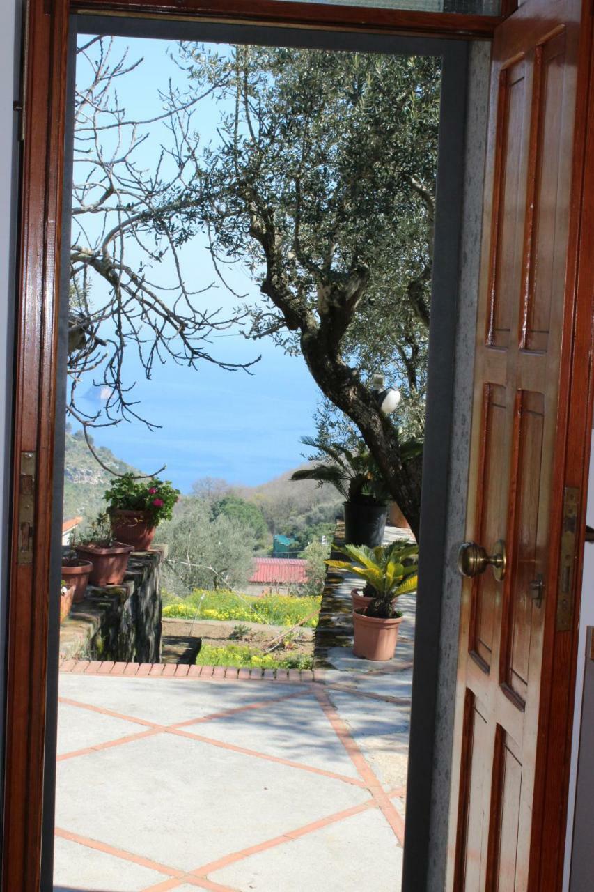 Casa Josella Villa Massa Lubrense Exteriör bild