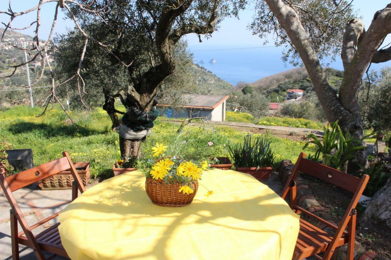Casa Josella Villa Massa Lubrense Exteriör bild