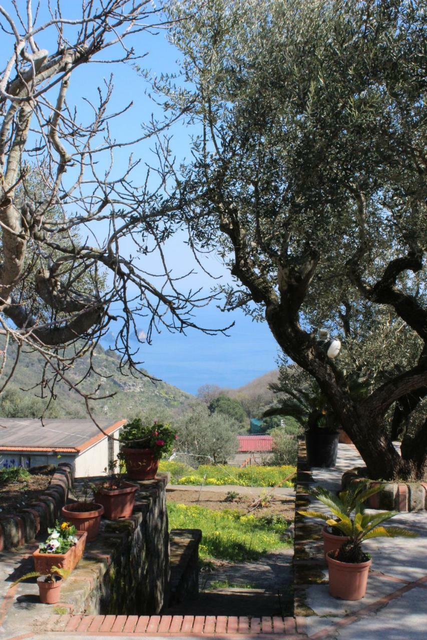 Casa Josella Villa Massa Lubrense Exteriör bild